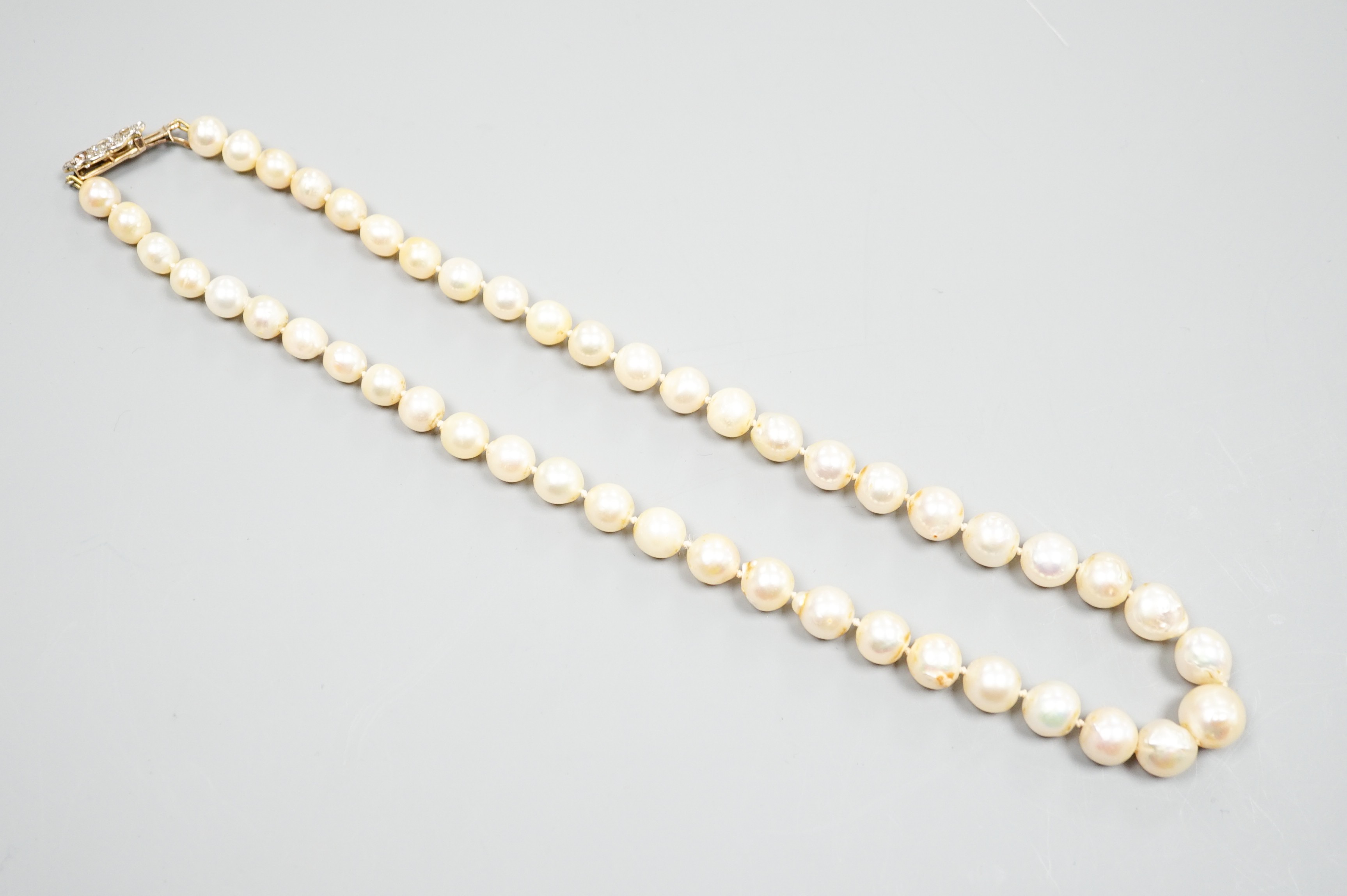 A single strand graduated pearl necklace (not tested for natural), with yellow metal and three stone diamond set clasp, 44cm.